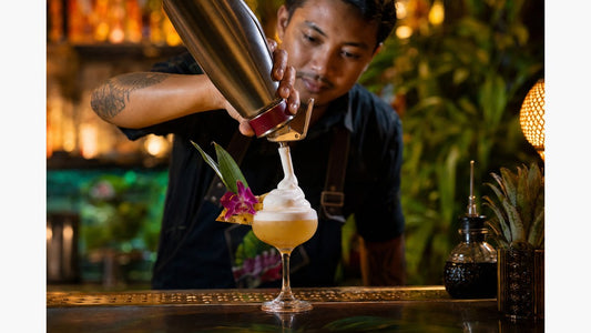 Cocktail Garnishes: Using Cream Whippers for Bar Foams - GalaxyWhip
